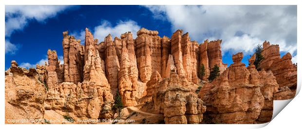 Bryce Canyon hoodoos Navajo Trail, Utah Print by Frank Bach
