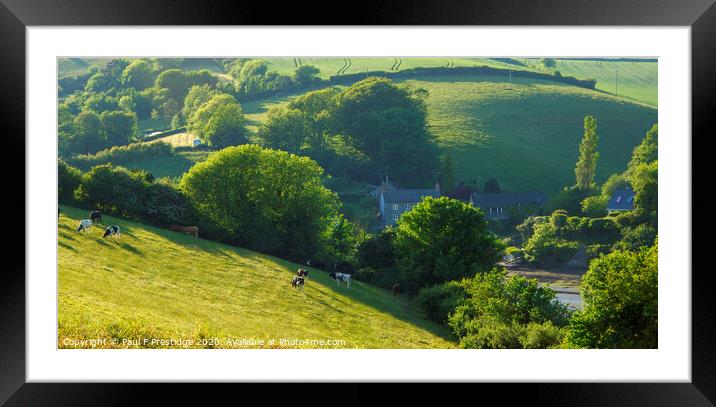 Fields near South Pool, Devon Framed Mounted Print by Paul F Prestidge