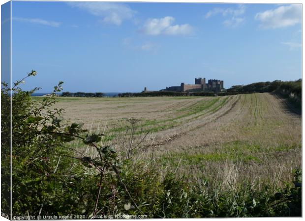 My first view of Bamburgh Castle  Canvas Print by Ursula Keene