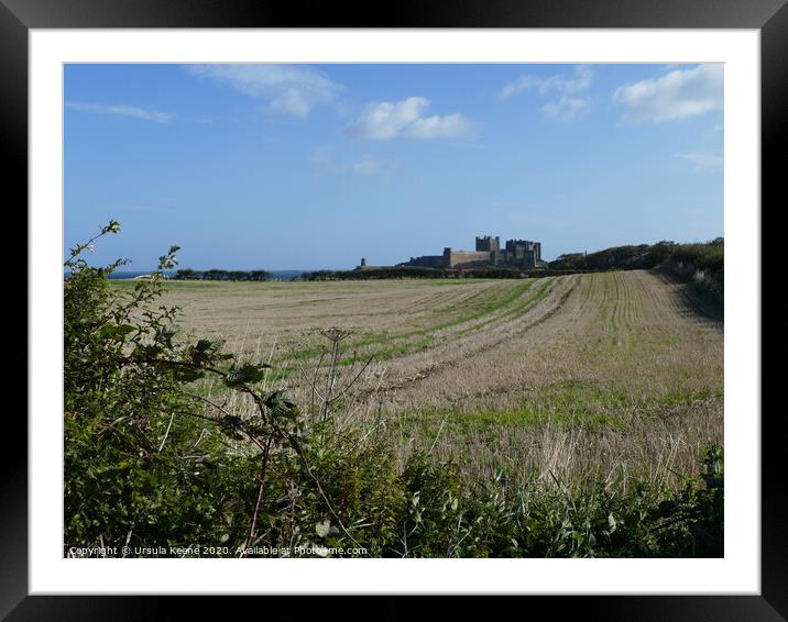 My first view of Bamburgh Castle  Framed Mounted Print by Ursula Keene
