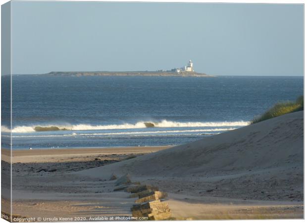 Coquet Lighthouse from Alnmouth Beach Northumberland  Canvas Print by Ursula Keene