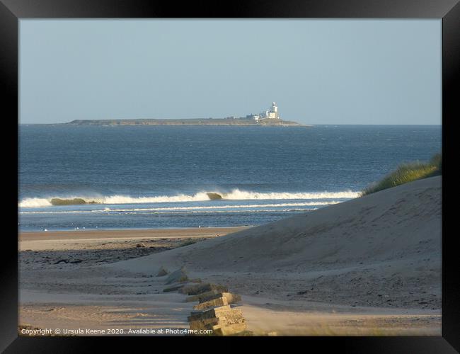 Coquet Lighthouse from Alnmouth Beach Northumberland  Framed Print by Ursula Keene