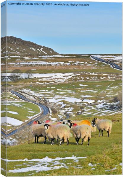 Upper Wharfedale, Yorkshire. Canvas Print by Jason Connolly