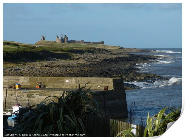Dunstanburgh Castle from Craster Quay  Print by Ursula Keene
