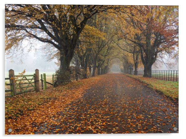 Autumn road Acrylic by Jason Thompson