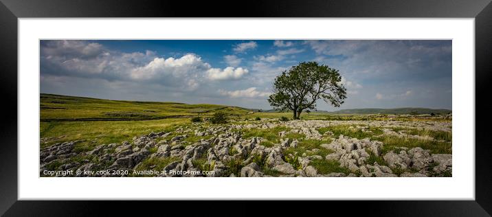 The Lone tree of malhamdale - Pano Framed Mounted Print by kevin cook
