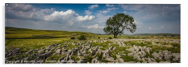 The Lone tree of malhamdale - Pano Acrylic by kevin cook