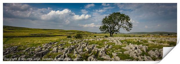 The Lone tree of malhamdale - Pano Print by kevin cook