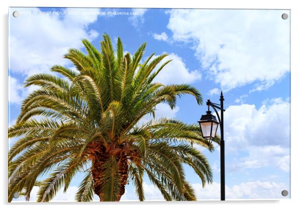 The top of a large and dense palm tree and a street lamp against a blue cloudy sky. Acrylic by Sergii Petruk