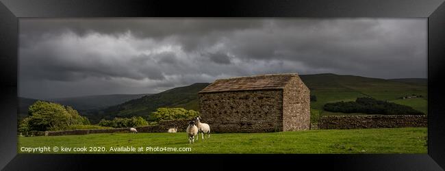 Cowus - Pano Framed Print by kevin cook
