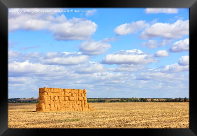 A large stack of straw against the background of a wide field and blue cloudy sky after harvest. Framed Print by Sergii Petruk