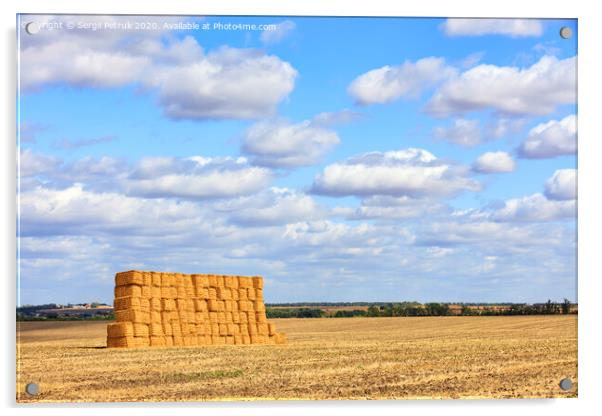 A large stack of straw against the background of a wide field and blue cloudy sky after harvest. Acrylic by Sergii Petruk