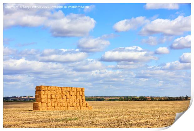 A large stack of straw against the background of a wide field and blue cloudy sky after harvest. Print by Sergii Petruk