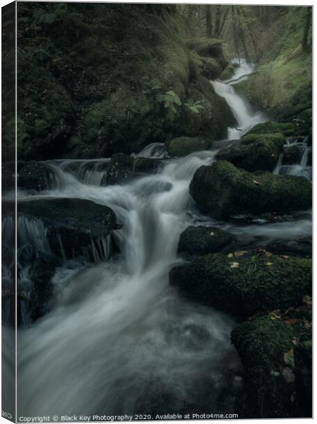 Mossy Seat Falls Canvas Print by Black Key Photography