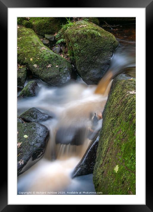 River Rivelin tumbling through a wooded valley Framed Mounted Print by Richard Ashbee