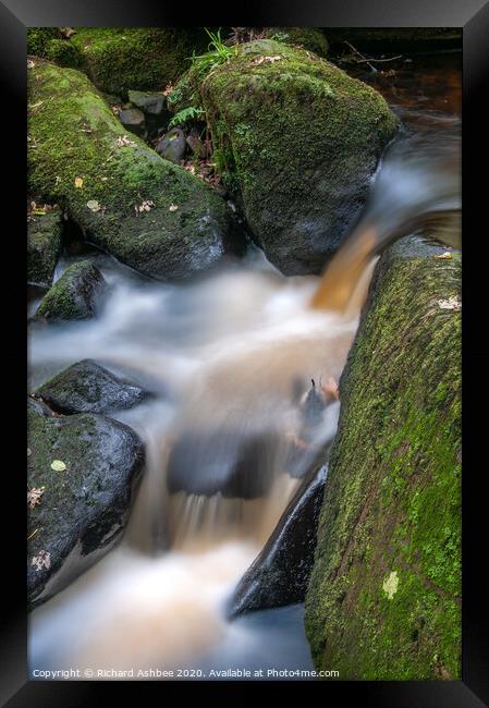 River Rivelin tumbling through a wooded valley Framed Print by Richard Ashbee
