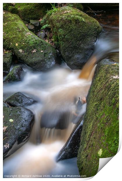 River Rivelin tumbling through a wooded valley Print by Richard Ashbee