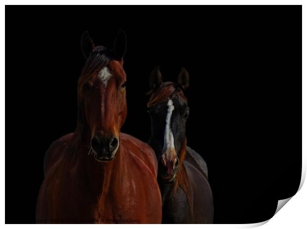 Horse Friends two horses together with blackened b Print by Karen Noble