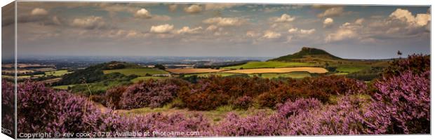 Roseberry heather - Pano Canvas Print by kevin cook
