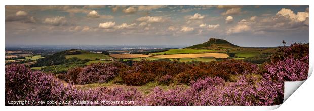 Roseberry heather - Pano Print by kevin cook
