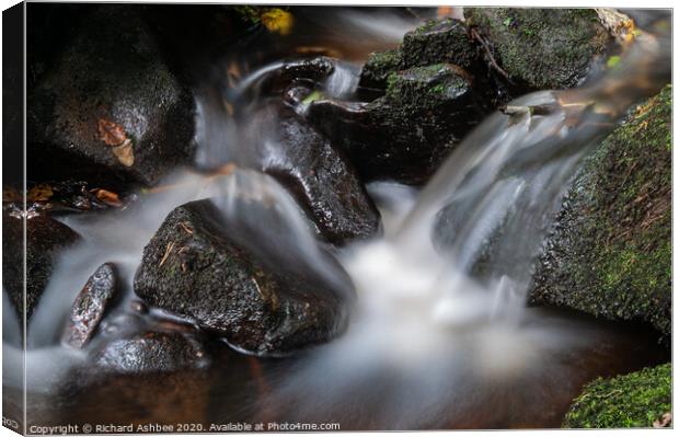 Long exposure of a fast flowing River Rivelin near Canvas Print by Richard Ashbee