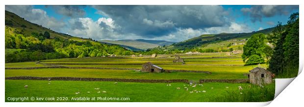 Field of Barns - Pano Print by kevin cook