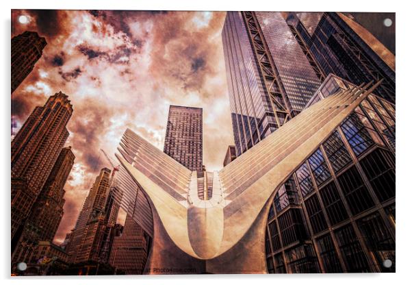 Taking flight - the Oculus Acrylic by Martin Williams