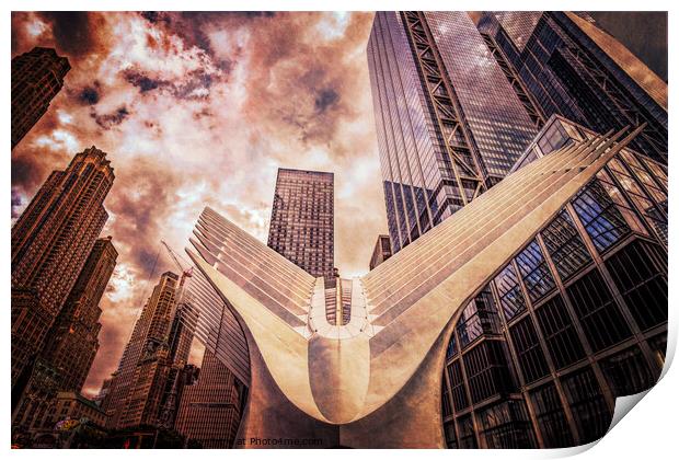 Taking flight - the Oculus Print by Martin Williams
