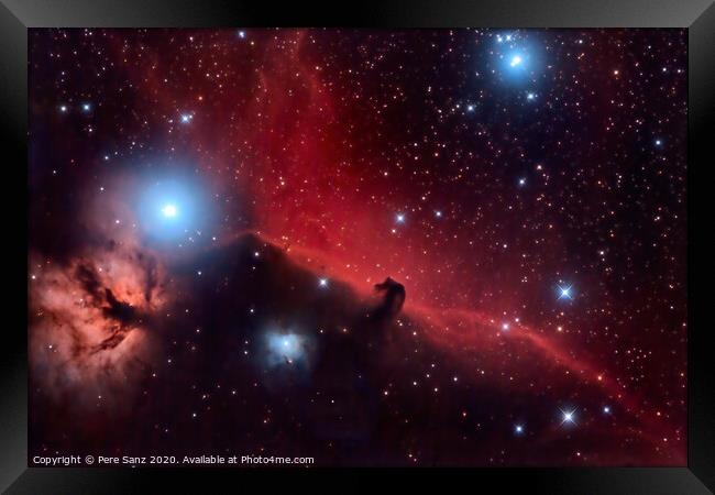 Horsehead Nebula and Flaming Tree  in the Constellation Orion Framed Print by Pere Sanz
