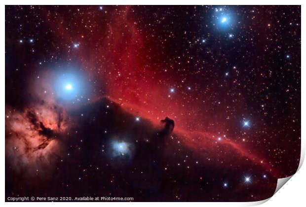 Horsehead Nebula and Flaming Tree  in the Constellation Orion Print by Pere Sanz