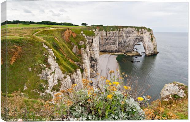 Cliffs of Etretat, Normandy, France Canvas Print by Pere Sanz