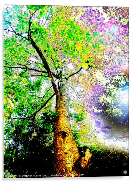 Psychedelic Tree Acrylic by Stephen Hamer