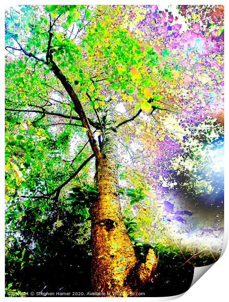 Psychedelic Tree Print by Stephen Hamer