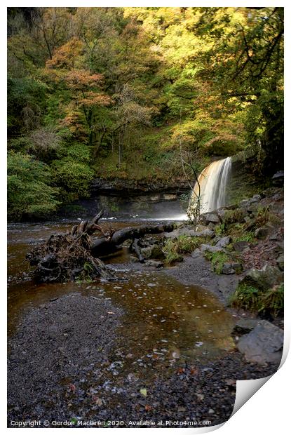 Sgwd Gwladys Waterfall, Brecon Beacons National Park Print by Gordon Maclaren