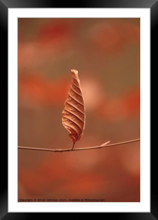 Beech leaf standing tgo attention Framed Mounted Print by Simon Johnson