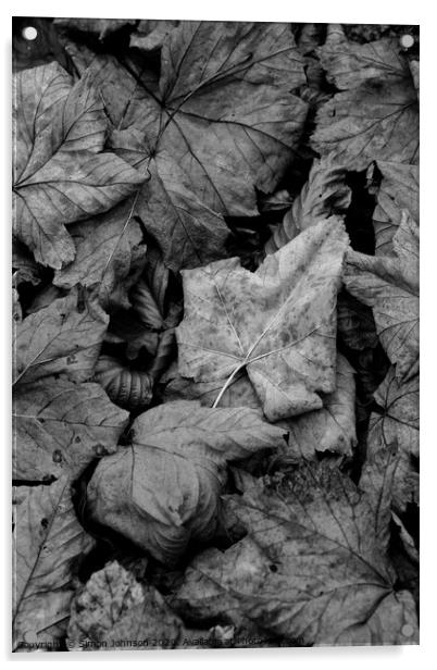 Maple leaf close up Acrylic by Simon Johnson