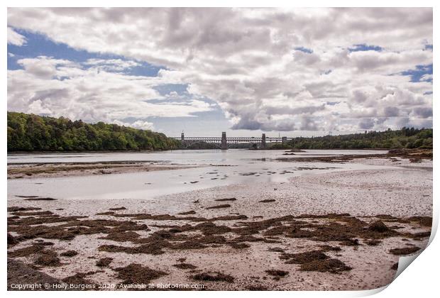 St Julian's railway bridge Wales  Print by Holly Burgess