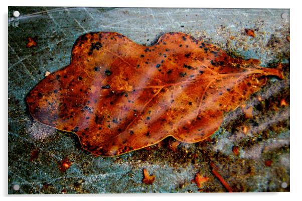 amber leaf Acrylic by Heather Newton