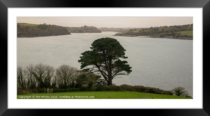 Helston Estuary Framed Mounted Print by Phil Whyte