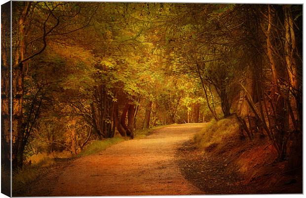 The Pathway . Canvas Print by Irene Burdell