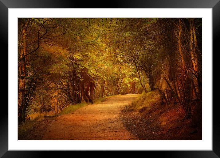 The Pathway . Framed Mounted Print by Irene Burdell