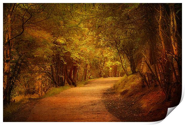 The Pathway . Print by Irene Burdell