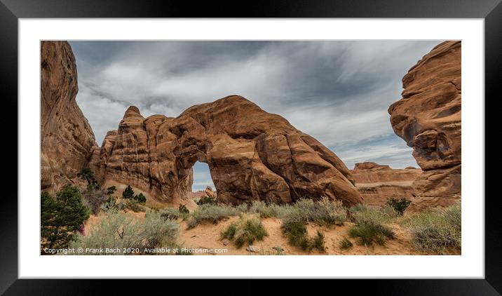 Pine tree Arch in Arches National Monument, Utah Framed Mounted Print by Frank Bach