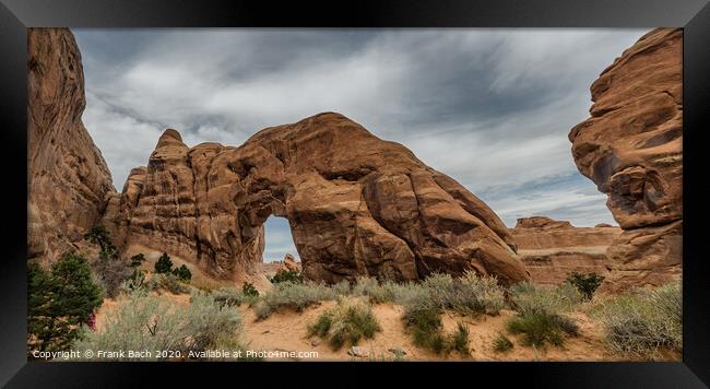 Pine tree Arch in Arches National Monument, Utah Framed Print by Frank Bach