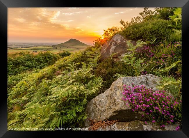 Roseberry Topping Heather Framed Print by Northern Wild
