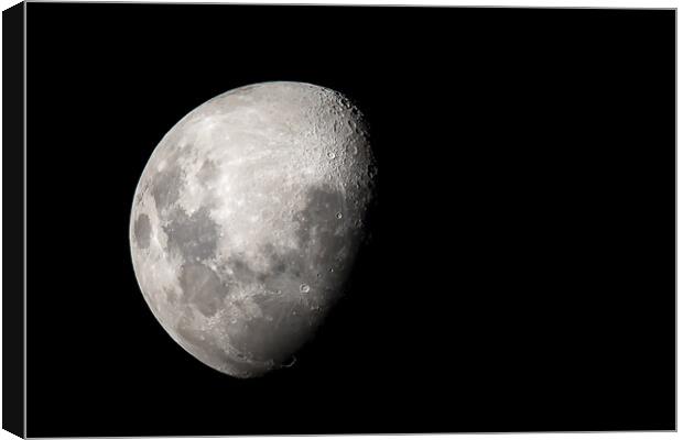 The Moon Down Under Canvas Print by Pete Evans