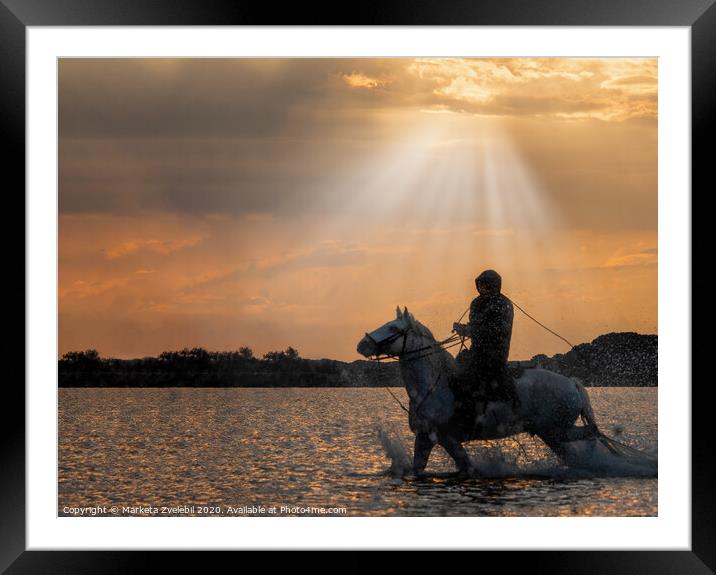 A horse guardian riding in the sun glow Framed Mounted Print by Marketa Zvelebil