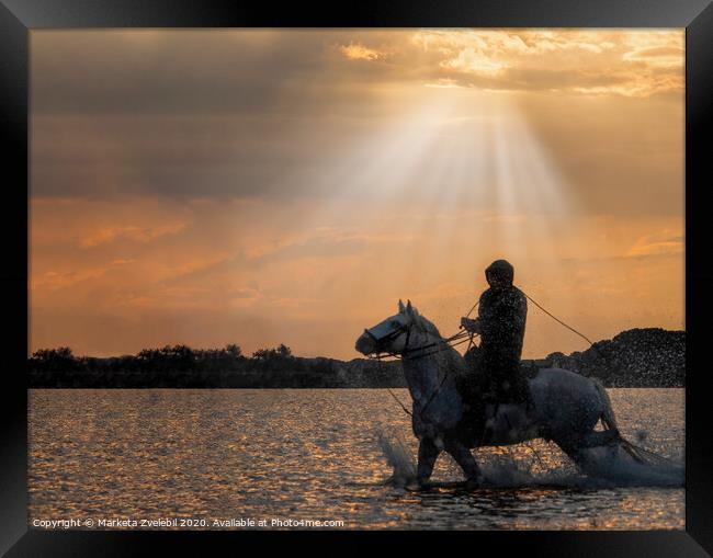 A horse guardian riding in the sun glow Framed Print by Marketa Zvelebil