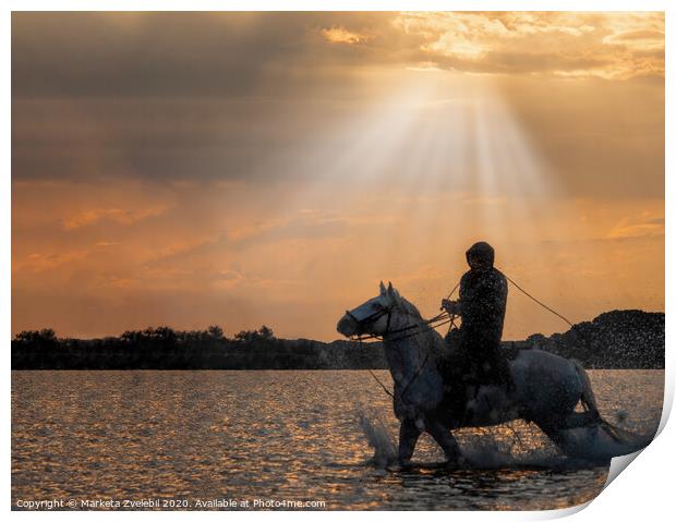 A horse guardian riding in the sun glow Print by Marketa Zvelebil