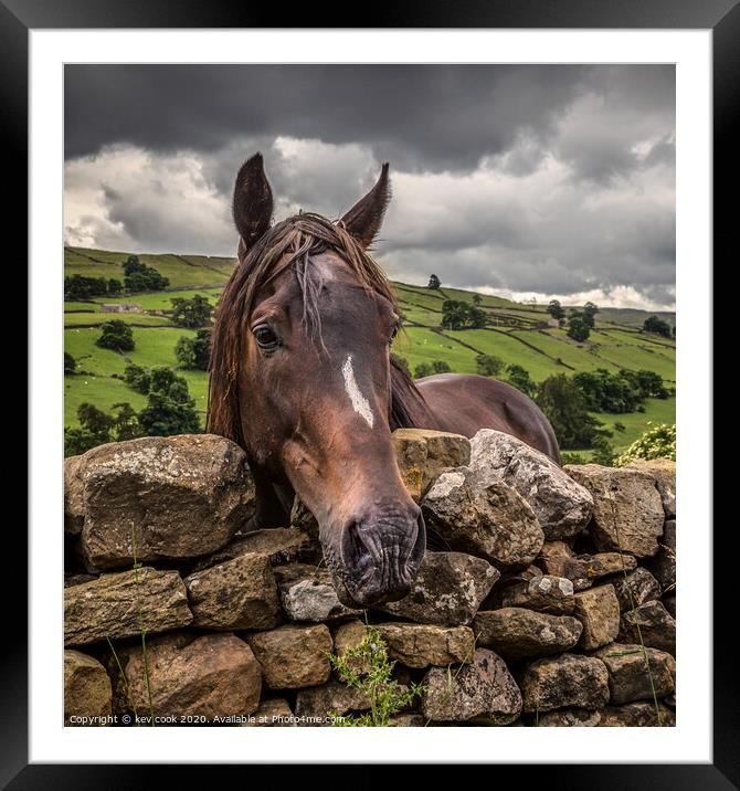 Swaledale pony-square Framed Mounted Print by kevin cook